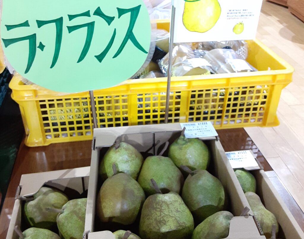 売店】ラ・フランス（10/28）本日から販売開始です | 天童最上川温泉